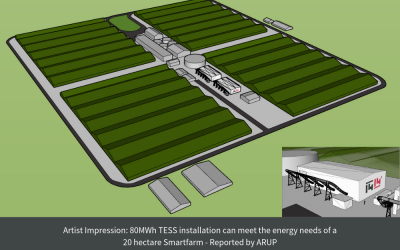 ARUP report highlights benefits of TESS compared to concentrated solar power (CSP) for Smartfarms